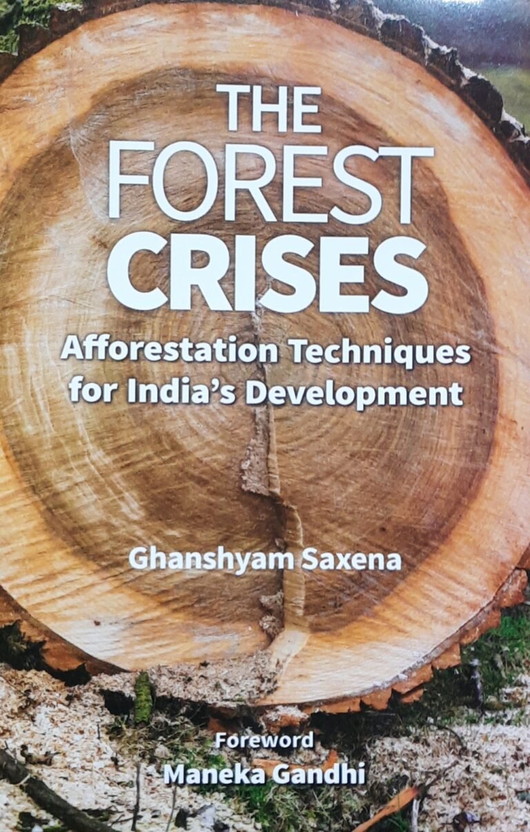 Forest, forest conservation, tree conservation, ecology
