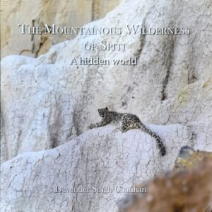 The Mountainous Wilderness of Spiti: A Hidden World